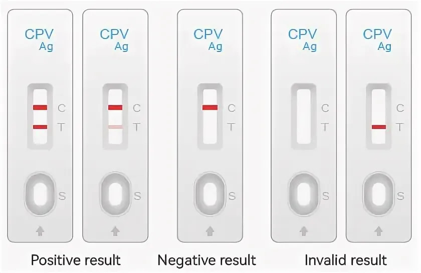 تصویر 1 از کیت تشخیص پاروا ویروس سگ با قابلیت شناسایی سریع و کمک به تشخیص زودهنگام عفونت ویروسی